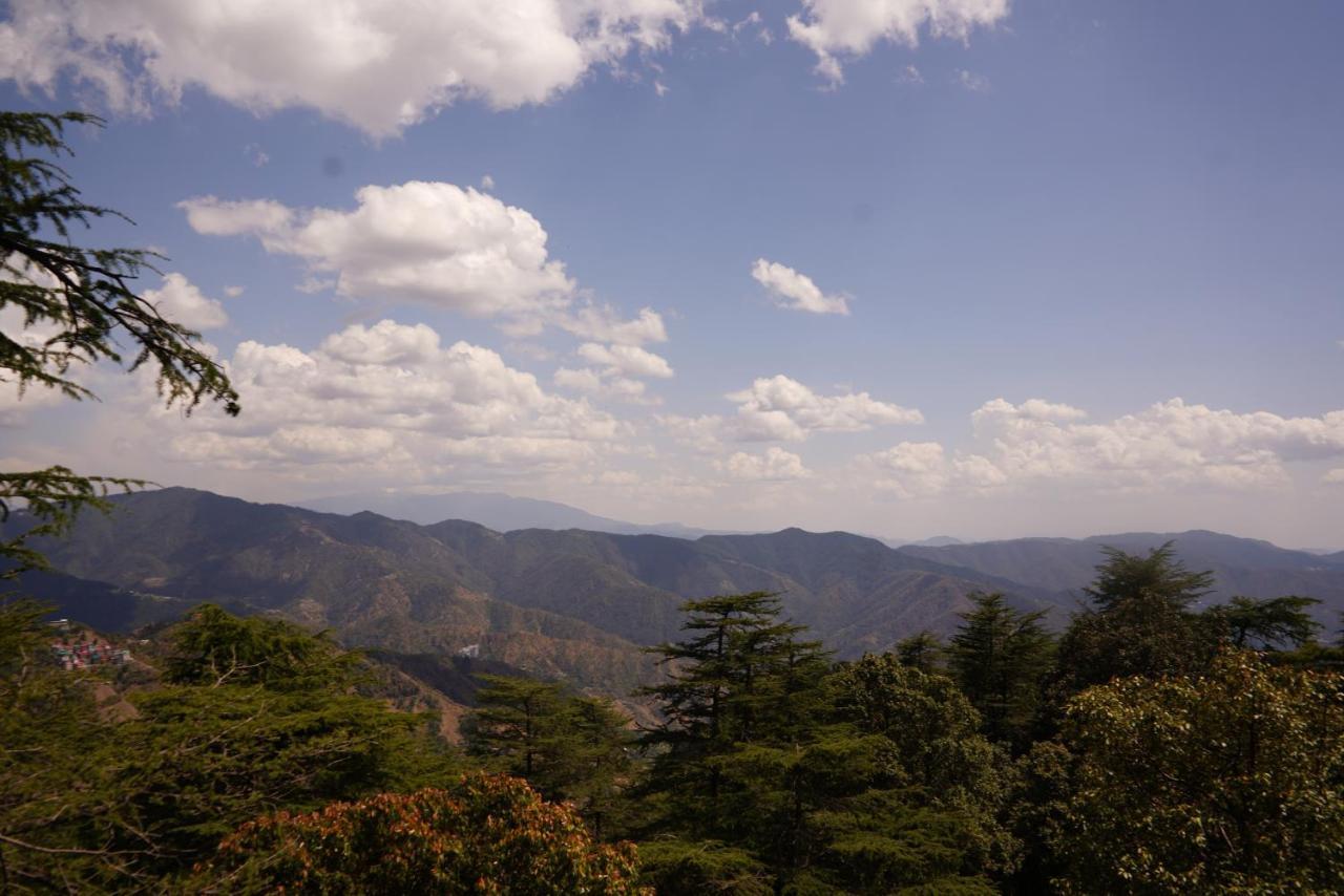 Jakhu Vibes Shimla Exterior foto